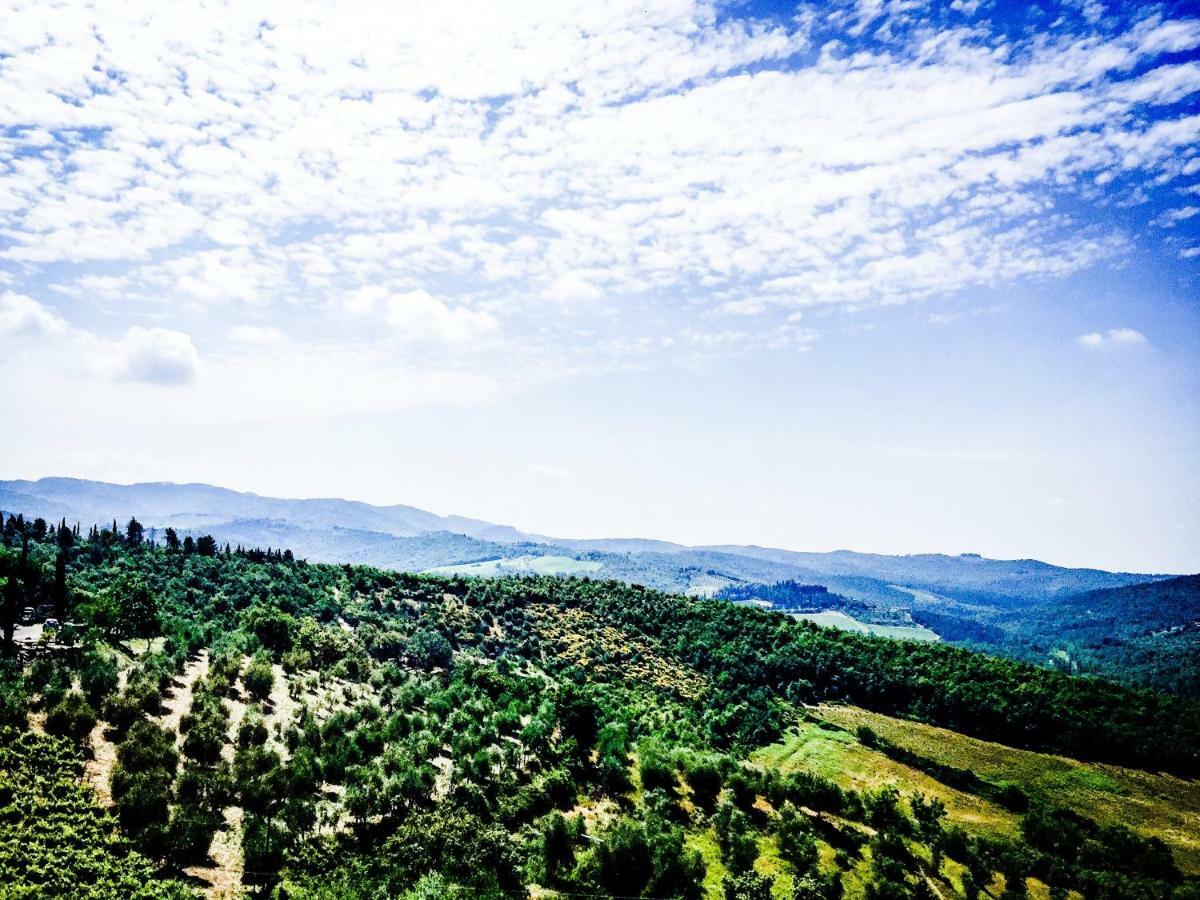 Casa Vacanze Vertine ガイオーレ・イン・キアンティ エクステリア 写真